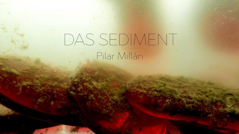 Das Sediment