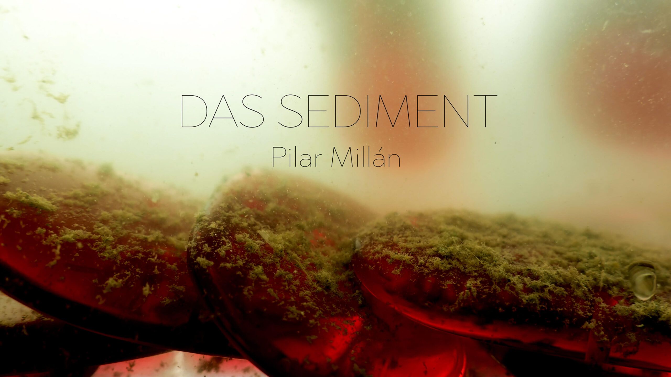Das Sediment